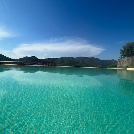Mar De Fulles Hotel Alfondeguilla Kültér fotó