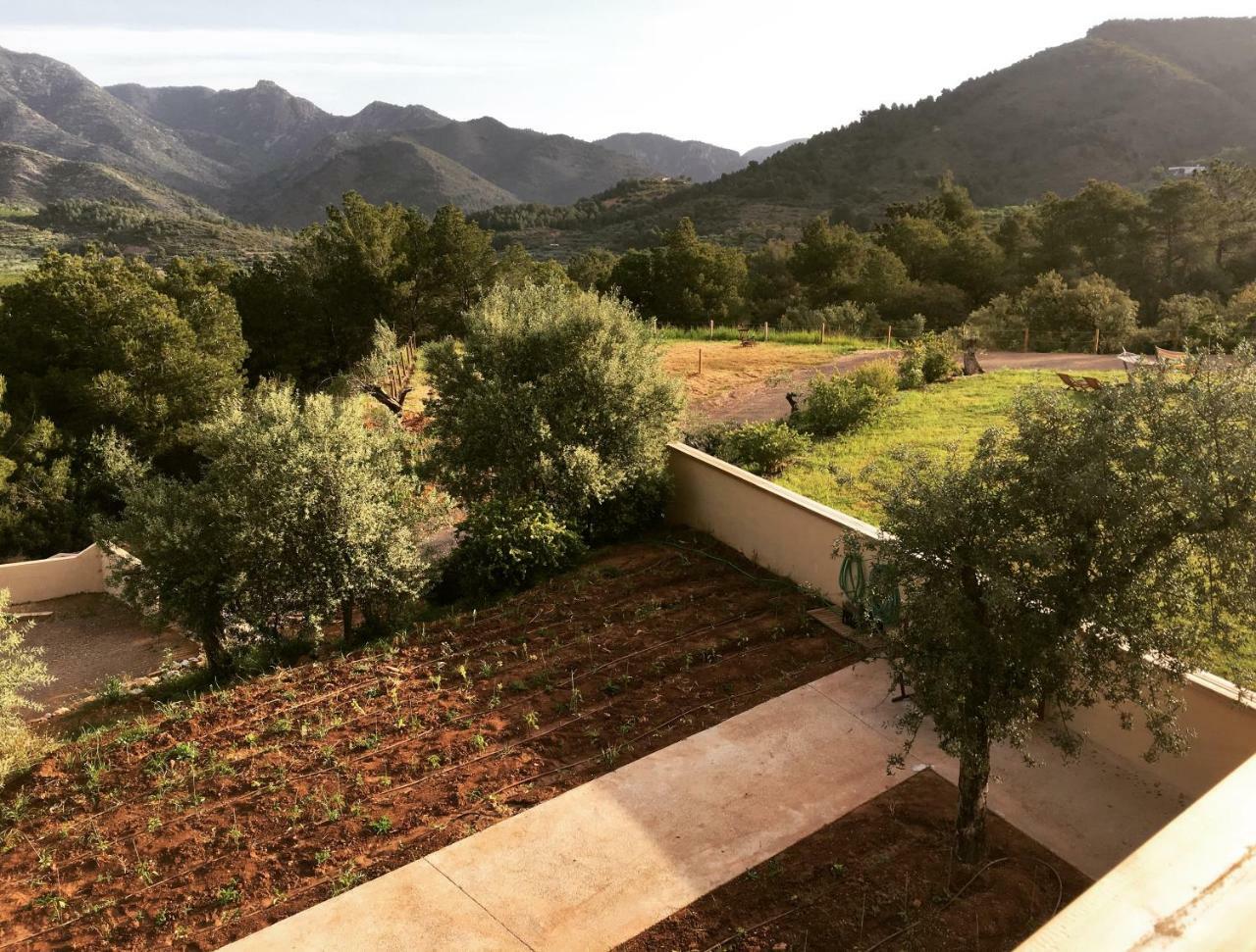 Mar De Fulles Hotel Alfondeguilla Kültér fotó