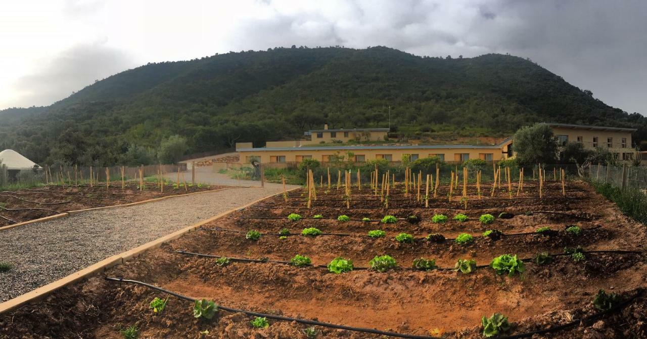Mar De Fulles Hotel Alfondeguilla Kültér fotó